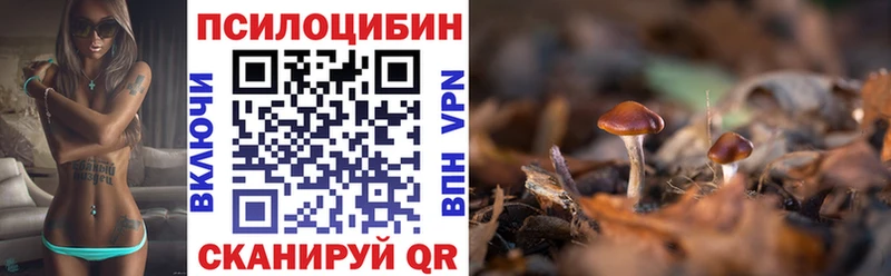 Псилоцибиновые грибы мицелий Коряжма